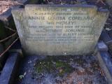 image of grave number 848571